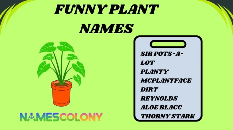 Funny Plant Names