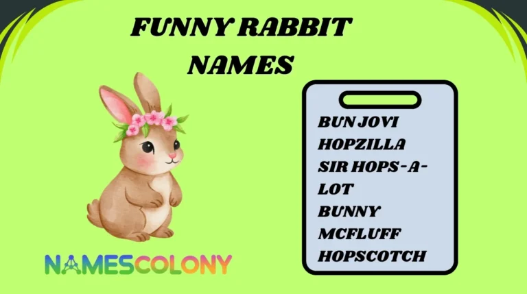 Funny Rabbit Names