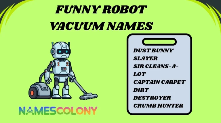 Funny Robot Vacuum Names