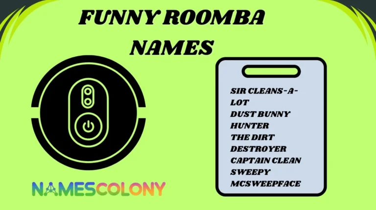 Funny Roomba Names