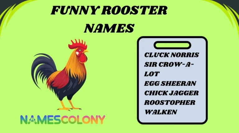 Funny Rooster Names