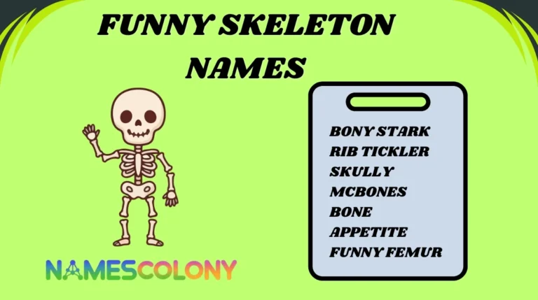 Funny Skeleton Names