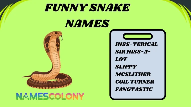 Funny Snake Names