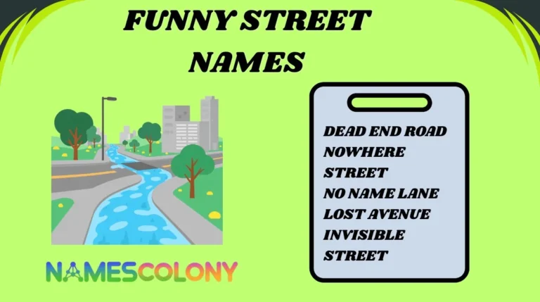 Funny Street Names