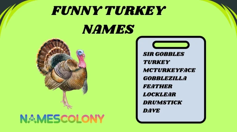 Funny Turkey Names