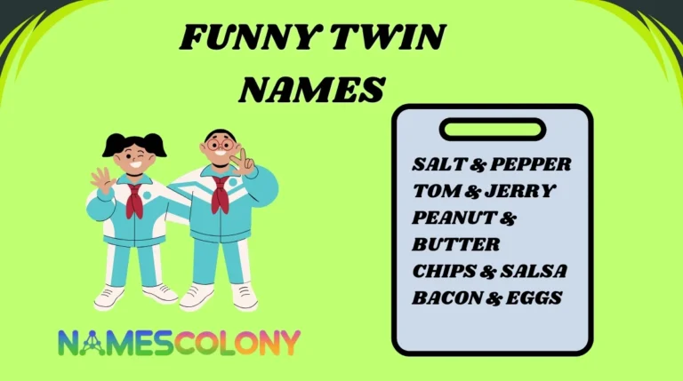 Funny Twin Names