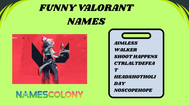 Funny Valorant Names