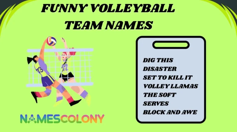 Funny Volleyball Team Names