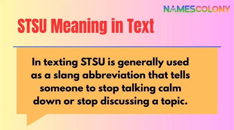 STSU Meaning in Text